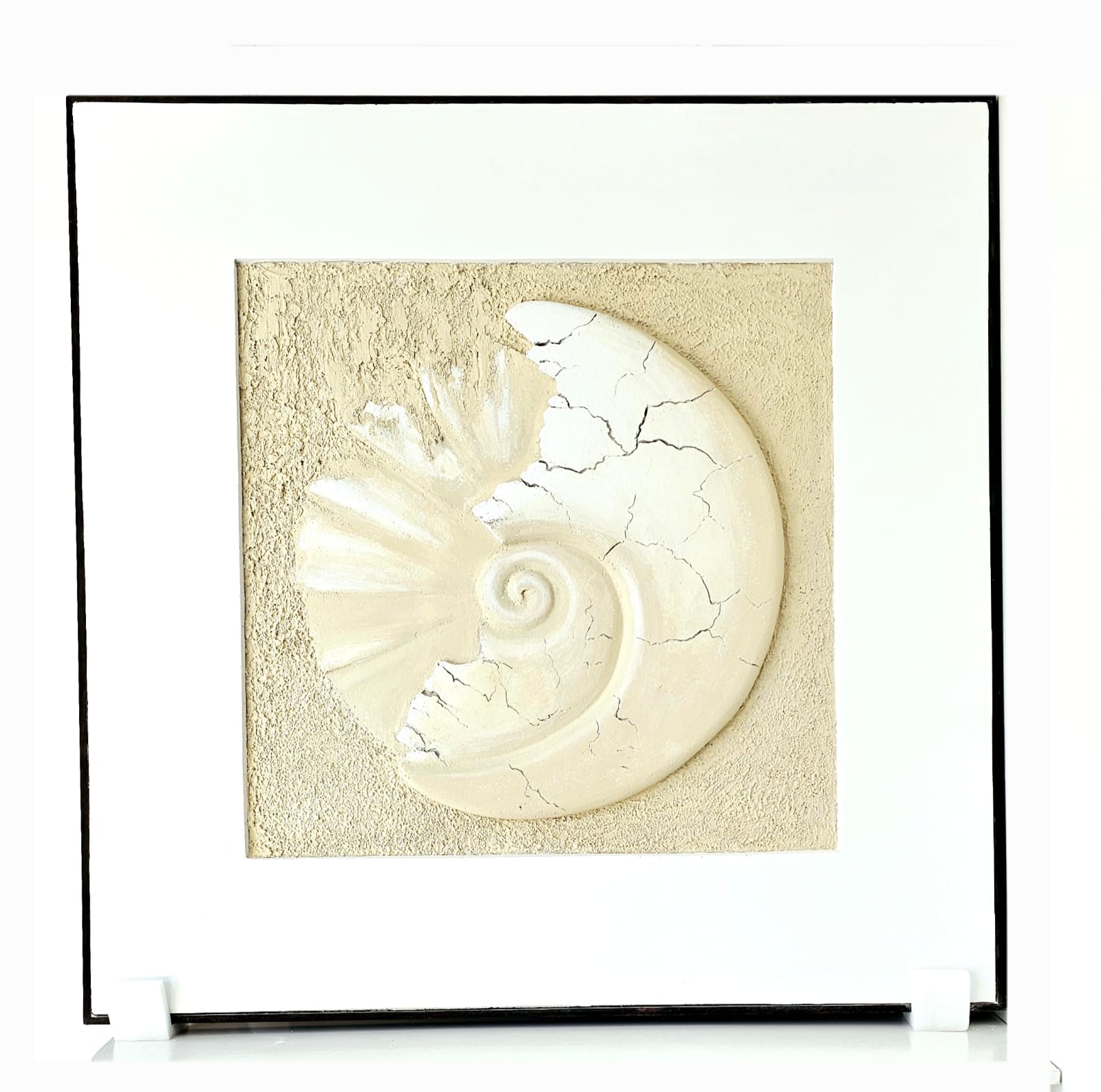 Fossil Wall Art